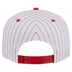 NBA Toronto Raptors Deceptor Pinstripe 9FIFTY Snapback Hat