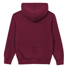 Outerstuff Preschool Back to Basics Hoodie - Washington Commanders