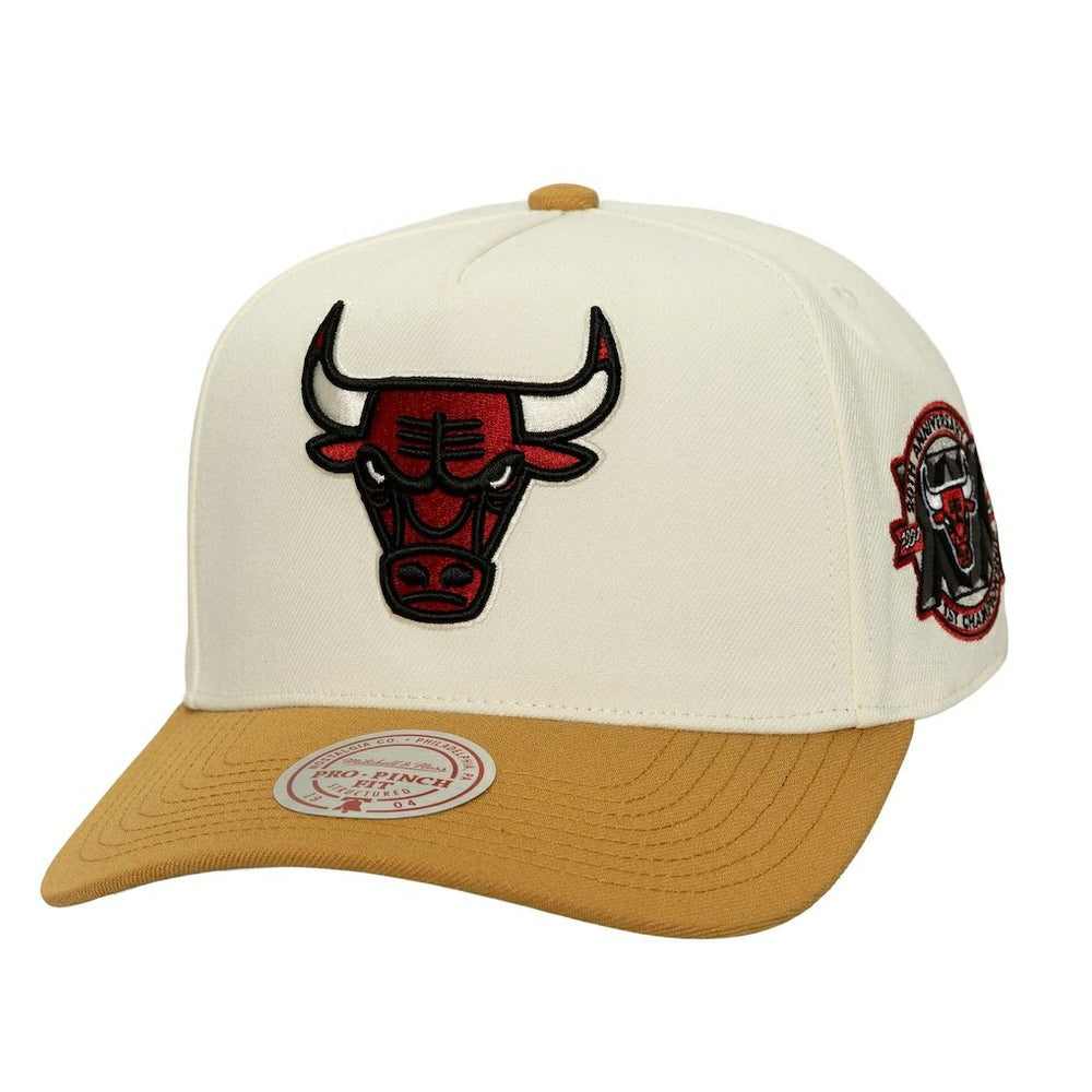 NBA Chicago Bulls Ochre Dusted Double Two-Toned Pro Crown Adjustable Hat