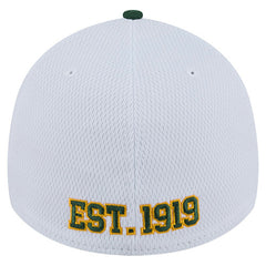 Dashmark Rays 39THIRTY Flex Hat - Green Bay Packers