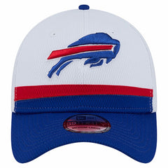 Dashmark Rays 39THIRTY Flex Hat - Buffalo Bills