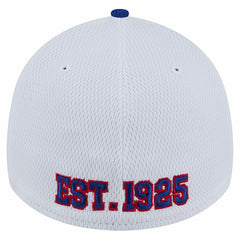 Dashmark Rays 39THIRTY Flex Hat - New York Giants