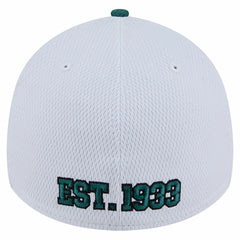 Dashmark Rays 39THIRTY Flex Hat - Philadelphia Eagles