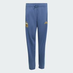 Argentina National Team Youth FIFA x World Cup Alphaskin Pants - Adidas Blue