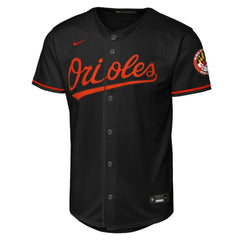 MLB Baltimore Orioles Nike Youth Alternate Stadium Jersey