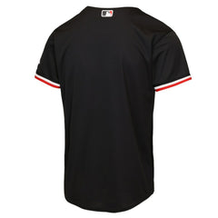 MLB Minnesota Twins Nike Youth Alternate 2 Stadium Jersey
