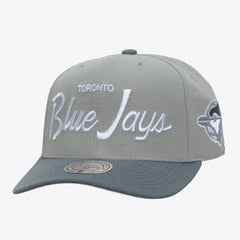 MLB Toronto Blue Jays Mitchell & Ness Cooperstown Thunderstorm Head Coach Pro-Crown Adjustable Hat