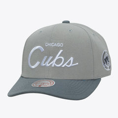 MLB Chicago Cubs Mitchell & Ness Thunderstorm Head Coach Pro-Crown Adjustable Hat
