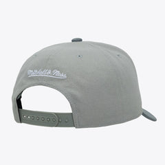 NBA San Antonio Spurs Thunderstorm Head Coach Pro Crown Snapback Hat