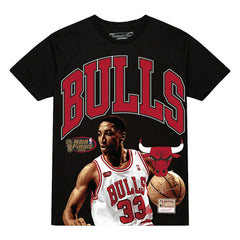 NBA Scottie Pippen Chicago Bulls Hardwood Classics Player Arch T-Shirt sale