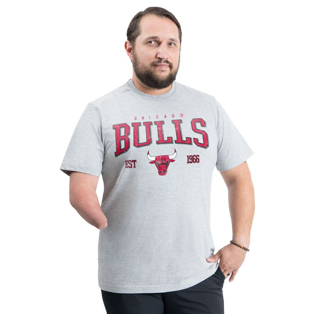 NBA Chicago Bulls G-III Sports by Carl Banks Adaptive Classic Team Spirit Short Sleeve T-Shirt sale