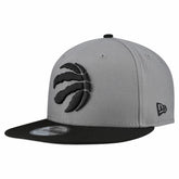 NBA Toronto Raptors Core Logo Storm Gray Two-Tone 9FIFTY Snapback Hat
