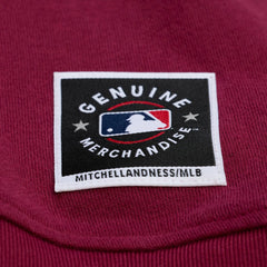 MLB Philadelphia Phillies Mitchell & Ness Women's Script Sweatshirt