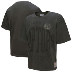 NBA Toronto Raptors Downtown Collection Premium T-Shirt