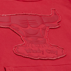 NBA Chicago Bulls Downtown Collection Fleece Hoodie sale