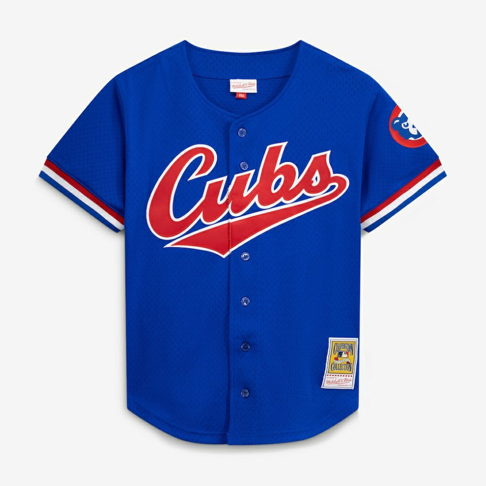 MLB Ryne Sandberg Chicago Cubs Mitchell & Ness Cooperstown Collection 1996 Mesh Batting Practice Button-Up Jersey