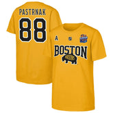 NHL Gold David Pastrnak Boston Bruins Fanatics Youth Alternate Captain 2026 Stadium Series T-Shirt