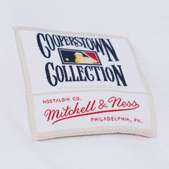 MLB Detroit Tigers Mitchell & Ness Cooperstown Collection Arctic T-Shirt