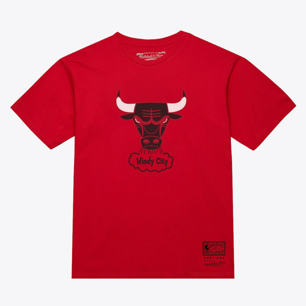 NBA Chicago Bulls Unisex Hardwood Classics Arch T-Shirt sale