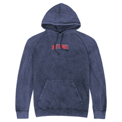 NBA Detroit Pistons Stadium Essentials Unisex Get Back Vintage Raglan Hoodie sale