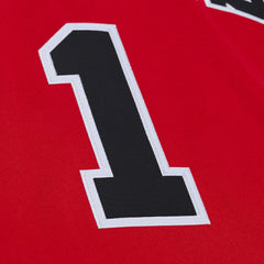 NBA Derrick Rose Chicago Bulls 2008-09 Authentic Jersey sale
