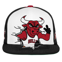 NBA Chicago Bulls Youth Mascot Snapback Hat