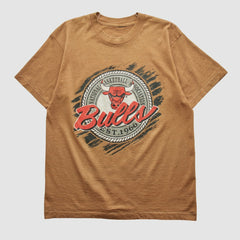 NBA Chicago Bulls 90s T-shirt sale