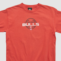 NBA Chicago Bulls 2010s T-shirt sale