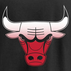NBA Chicago Bulls Gradient Logo Pullover Hoodie