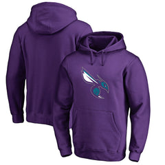 NBA Charlotte Hornets Alternate Logo Pullover Hoodie