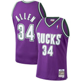 NBA Ray Allen Milwaukee Bucks 2000/01 Hardwood Classics Swingman Jersey