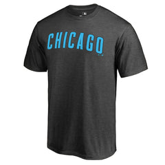 MLB Chicago Cubs Blue Wordmark T-Shirt