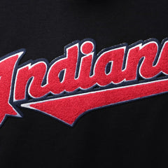 MLB Cleveland Guardians Pro Standard Team Logo T-Shirt
