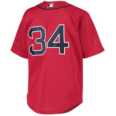 MLB David Ortiz Boston Red Sox Mitchell & Ness Youth Cooperstown Collection Batting Practice Jersey