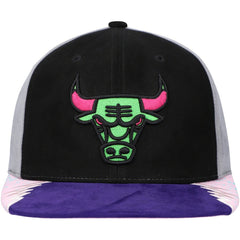 NBA Chicago Bulls Day 5 Snapback Hat