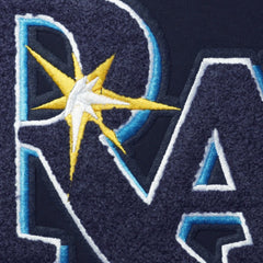 MLB Tampa Bay Rays Pro Standard Team T-Shirt