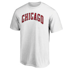NBA Chicago Bulls Alternate Logo T-Shirt sale
