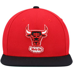 NBA Chicago Bulls Hardwood Classics Team Two-Tone 2.0 Snapback Hat