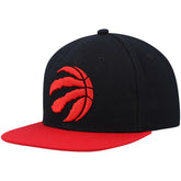 NBA Toronto Raptors Team Two-Tone 2.0 Snapback Hat