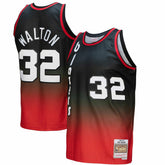 NBA Bill Walton Portland Trail Blazers 1976/77 Hardwood Classics Fadeaway Swingman Player Jersey