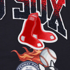 MLB Boston Red Sox Pro Standard Hometown T-Shirt