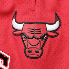 NBA Chicago Bulls Pro Standard Mesh Capsule Shorts