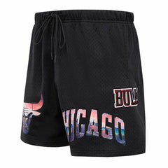 NBA Chicago Bulls Pro Standard City Scape Mesh Shorts