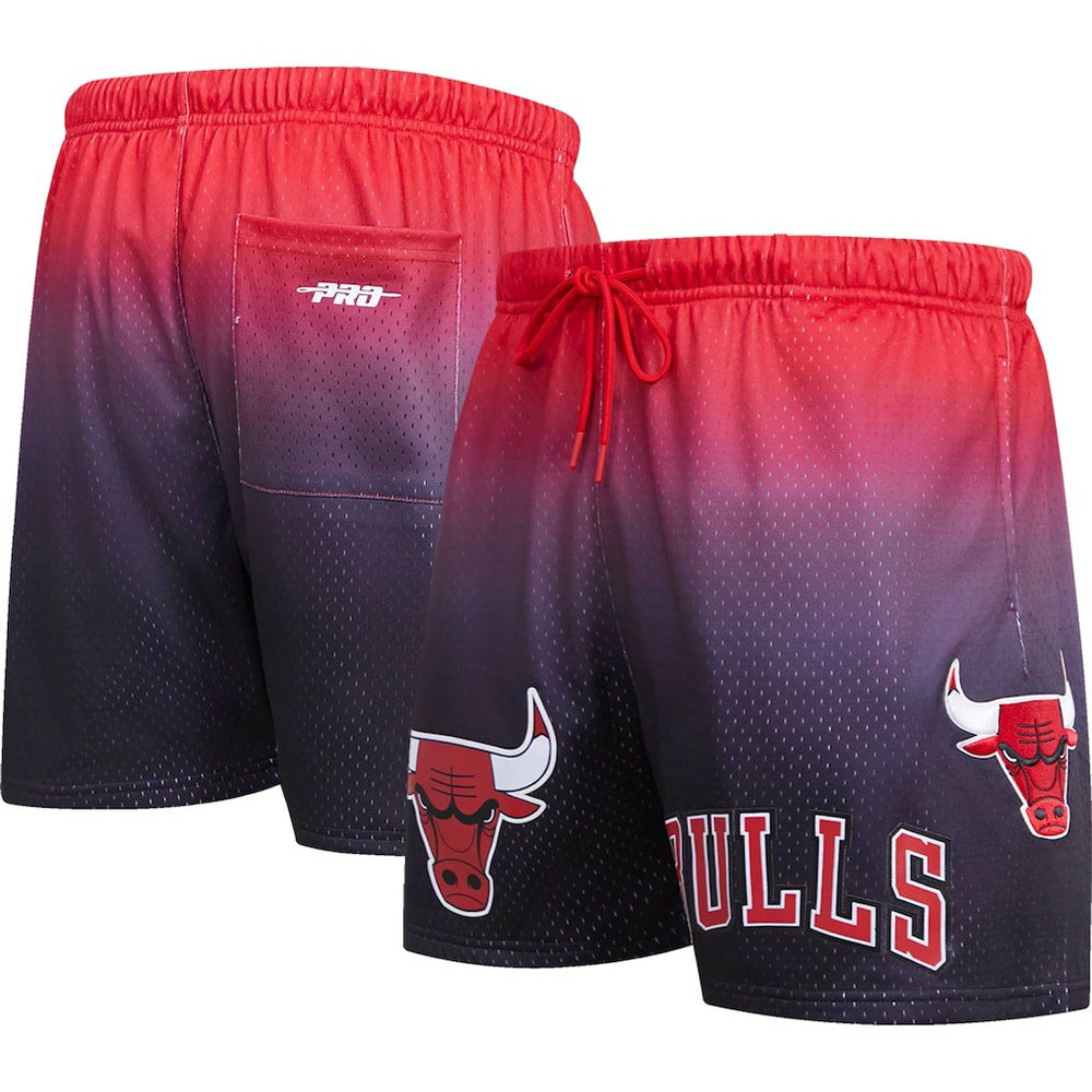 NBA Chicago Bulls Pro Standard Ombre Mesh Shorts