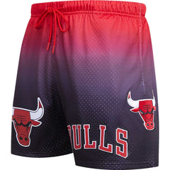 NBA Chicago Bulls Pro Standard Ombre Mesh Shorts