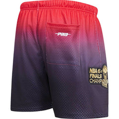 NBA Chicago Bulls Pro Standard Ombre Mesh Shorts