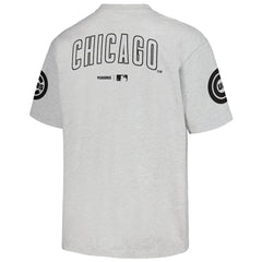 MLB Chicago Cubs PLEASURES Team T-Shirt