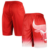 NBA Chicago Bulls Graphic Shorts