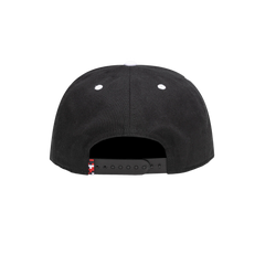Fan Ink Collection USA Bankroll Snapback Hat /