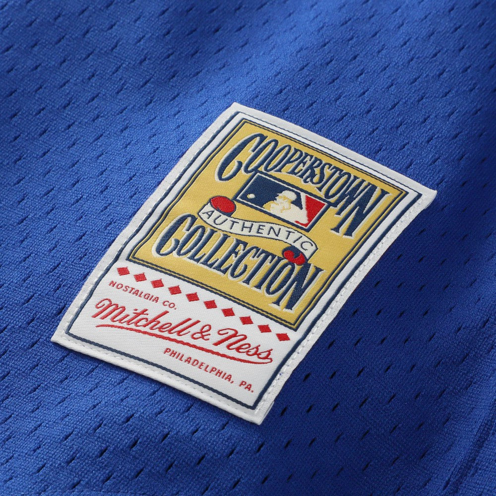 MLB Bo Jackson Kansas City Royals Mitchell & Ness Authentic Batting Practice Jersey